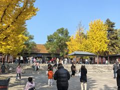 -晋祠公园