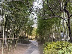 -江宁织造博物馆