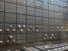 -北京周口店北京人遗址博物馆