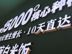 -谷田稻香·砂锅菜(广州悦汇城店)