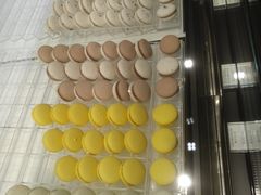 -BLACKSWAN黑天鹅(环球店)