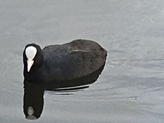-海德公园