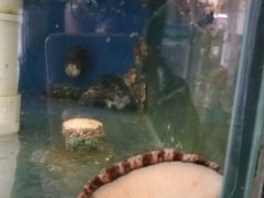 -雅逸居海鲜小厨