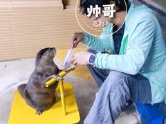 -太平洋海底世界