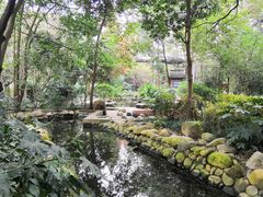 -成都市活水公园
