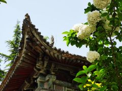 -西安大兴善寺