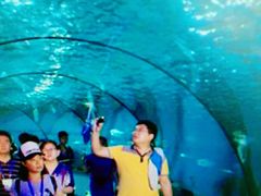 -石家庄海洋公园