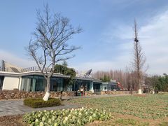-田园东方蜜桃村的田野营地