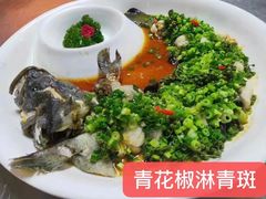 青花椒淋青斑-味茂·老船夫1927(东海东路店)