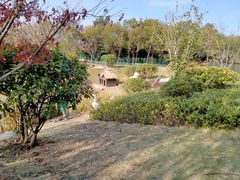 -南京中医药大学(仙林校区)