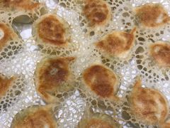 素角瓜冰花煎饺-新洪记·丽久饭店(铁西店)