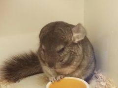 -龙猫仔乐园(惠福东路店)