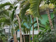 -北京植物园-展览温室