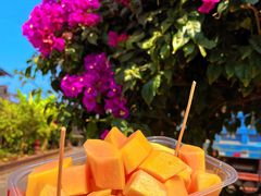 -西双版纳傣族园