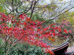 -杭州半山国家森林公园