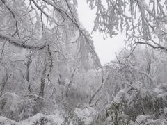 -峨眉山风景名胜区