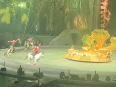 -广州长隆国际大马戏