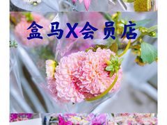 -盒马X会员店(王府井奥莱UP TOWN店)