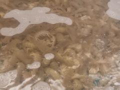 -新丁香海鲜酒店(银海商贸城店)