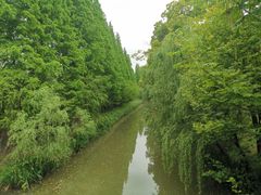 -同里国家湿地公园