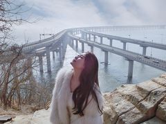 -星海湾跨海大桥