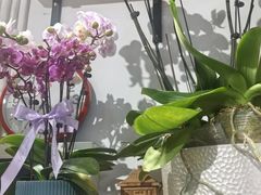 -FEI FEI FLOWER鲜花店·气球派对·宝宝宴布置(虹口德必运动Loft店)