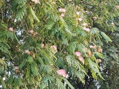 -星美国际影商城(黄龙店)