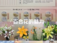 -中国农业博物馆