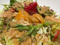 冰草血橙蔬菜沙拉-俭寨大盘鸡·缸子肉·小公鸡·新疆菜(云通店)