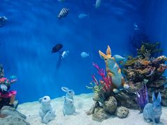 -上海海昌海洋公园