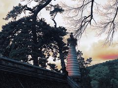 -潭柘寺景区