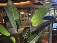 -湊湊火锅·茶憩(皇姑万象汇店)