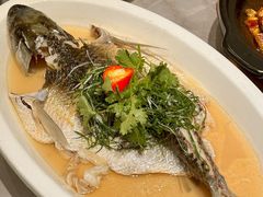 -山水茶艺馆·点心粤菜·30年老字号