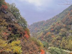 -西安祥峪森林公园