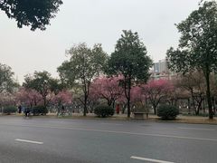 -成都市活水公园