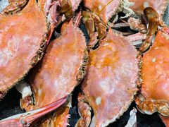 -大连湾旭日·家宴·海肠捞饭(马栏广场店)
