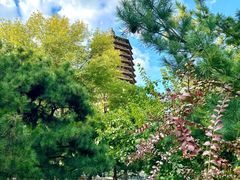 -玲珑塔公园