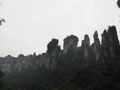 -猪脑壳凉面(武陵源店)