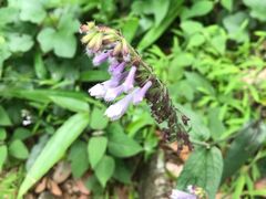 -东天目山风景区