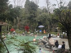 -青城道汤池