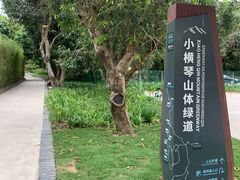 -横琴公社餐厅