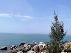 -广东惠东海龟国家级自然保护区