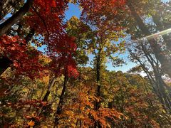 -天女山森林公园