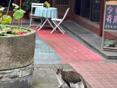 -海窝子古镇