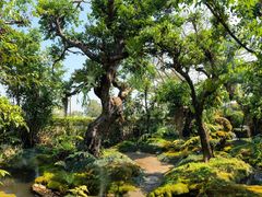 -Chom Cafe and Restaurant