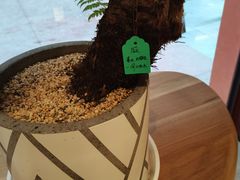 -二酉书店TOYOU BOOKS