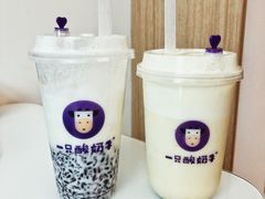 -一只酸奶牛(八一路店)