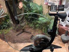 -drivepro(三里屯店)