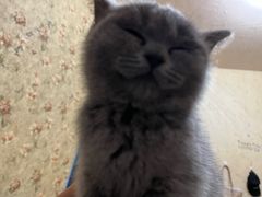 -菲尔斯特宠物医院