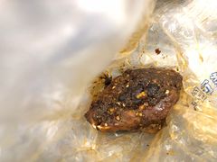 麻辣兔头-双流传承老妈兔头(玉林总店)